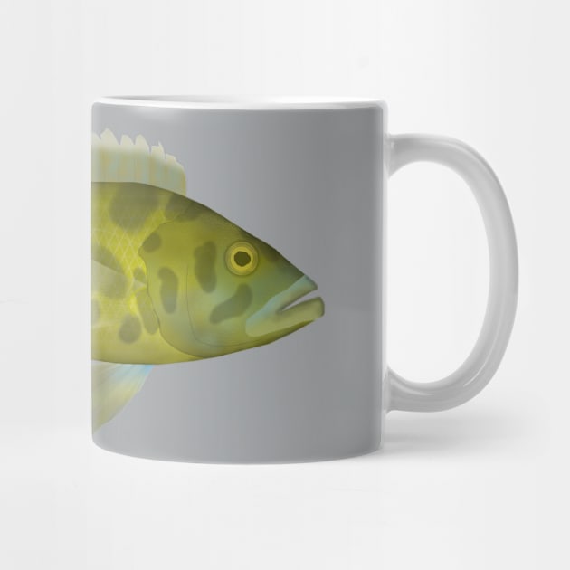 Livingston Cichlid by FishFolkArt